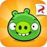 Bad Piggies Icon
