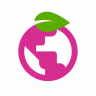 Berry Browser Icon