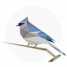 BirdNET: Bird sound identification icon
