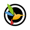 BlackVue Icon