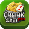 Çanak Okey Plus icon