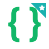 Developer Options icon