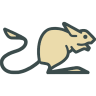 Jerboa for Lemmy (f-droid version) icon