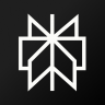 Perplexity - Ask Anything Icon
