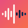Recorder icon
