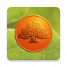Savings Bank private icon