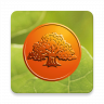 Savings Bank private icon