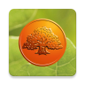 Savings Bank private icon