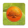 Savings Bank private icon