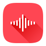 Recorder Icon