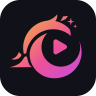 StardustTV - Movies & Dramas icon