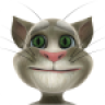 Talking Tom Cat icon