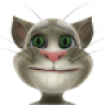 Talking Tom Cat icon