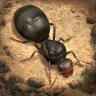 The Ants: Underground Kingdom (Samsung Galaxy Apps version) Icon