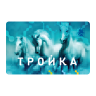 Troika Top Up icon