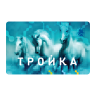 Troika Top Up icon