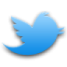 X icon