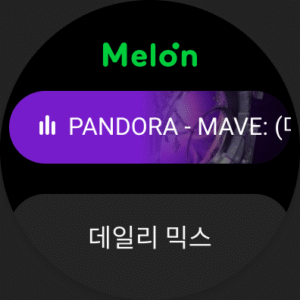 멜론(Melon) (Wear OS) 6.16.2.1 screenshot 14