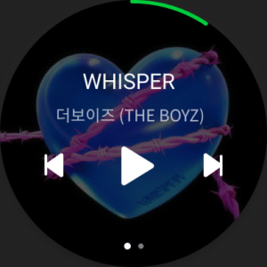 멜론(Melon) (Wear OS) 6.16.2.1 screenshot 15
