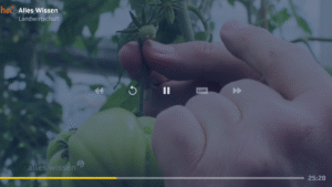 1&1 TV und Filme (Android TV) 2.2524.4 screenshot 5