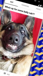 9GAG: Funny GIF, Meme & Video 8.16.2 screenshot 2