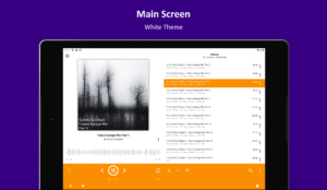 AIMP v4.25.1665 (24.12.2025) (120-640dpi) (Android v4.15.1565 (09.06.2025) screenshot 9
