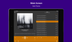 AIMP v4.25.1665 (24.12.2025) (120-640dpi) (Android v4.15.1565 (09.06.2025) screenshot 10