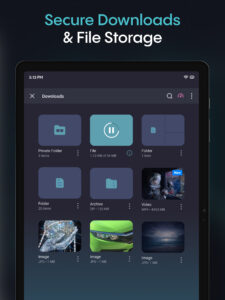 Aloha Browser (Beta) 7.4.2 screenshot 11