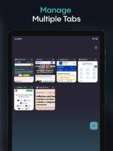 Aloha Browser (Beta) 7.4.2 screenshot 12