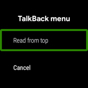 Android Accessibility Suite 16.0.0.758099302 screenshot 11