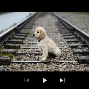 AnExplorer TV File Manager (Android TV) 5.8.7 screenshot 48