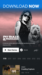Animal Planet GO 3.58.0 screenshot 5