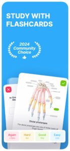 Noji – Flashcards study app 2.13.0 screenshot 1