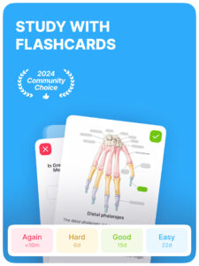 Noji – Flashcards study app 2.13.0 screenshot 8