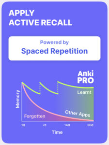 Noji – Flashcards study app screenshot 11