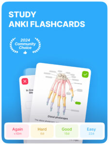 Noji – Flashcards study app screenshot 8