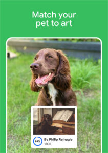 Google Arts & Culture 11.4.222-773718806.1-release screenshot 13