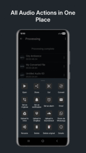 Audio Converter (MP3 AAC OPUS) 17.5 screenshot 7
