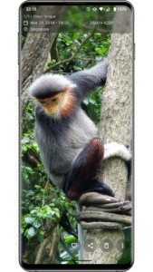 Aves Gallery 1.13.3 screenshot 2