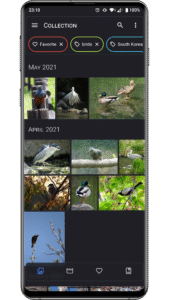 Aves Gallery 1.13.3 screenshot 1