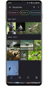 Aves Gallery (github version) 1.13.6 screenshot 1