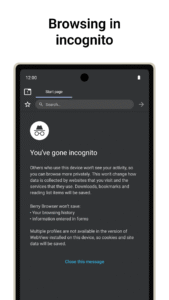 Berry Browser 3.78.71 screenshot 6