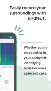 BirdNET: Bird sound identification 1.96 screenshot 3