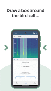 BirdNET: Bird sound identification 1.96 screenshot 4