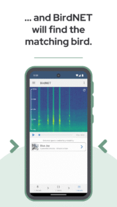 BirdNET: Bird sound identification 1.96 screenshot 5