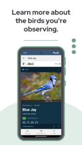 BirdNET: Bird sound identification 1.96 screenshot 6