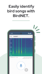 BirdNET: Bird sound identification 1.85 screenshot 1