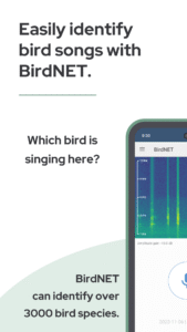 BirdNET: Bird sound identification 1.85 screenshot 2