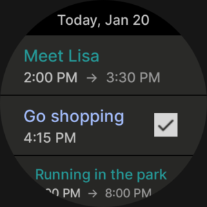 Business Calendar 2 Planner (Wear OS) 2.52.0 screenshot 32