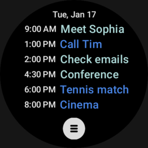 Business Calendar 2 Planner (Wear OS) 2.52.0 screenshot 37